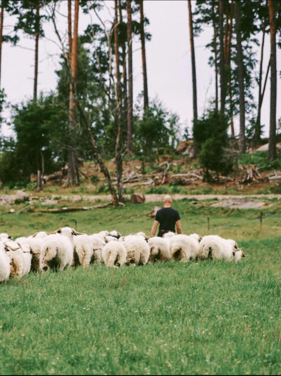 Snaellfaell Country Living - Akerbo Gard Charmigt Renoverad Flygel Kristinehamn Kültér fotó